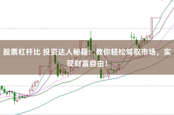 股票杠杆比 投资达人秘籍：教你轻松驾驭市场，实现财富自由！