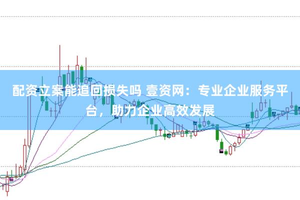 配资立案能追回损失吗 壹资网：专业企业服务平台，助力企业高效发展