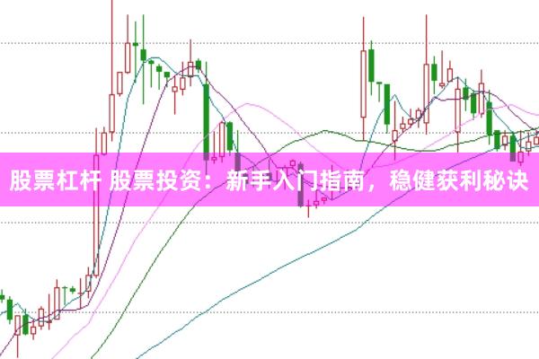 股票杠杆 股票投资：新手入门指南，稳健获利秘诀