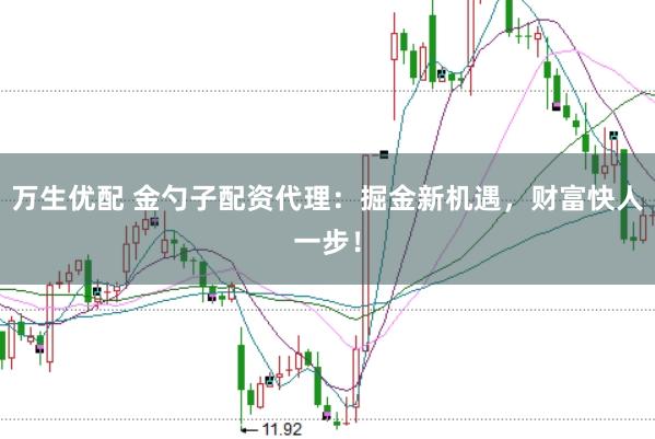 万生优配 金勺子配资代理：掘金新机遇，财富快人一步！