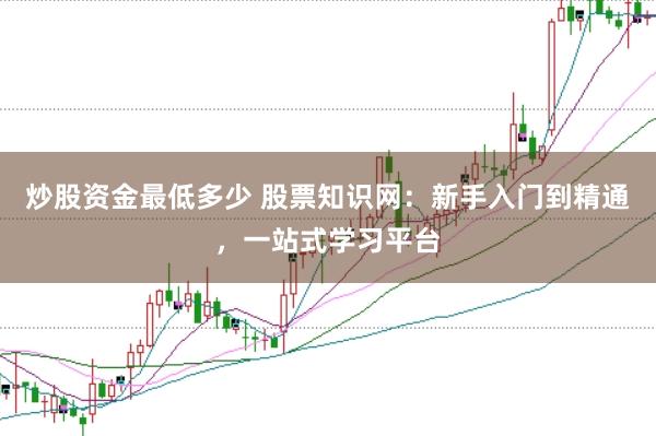 炒股资金最低多少 股票知识网：新手入门到精通，一站式学习平台