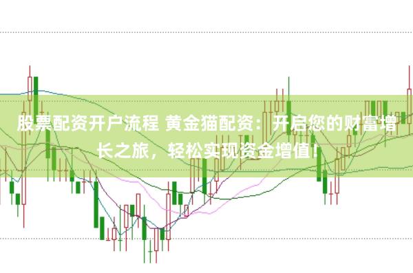 股票配资开户流程 黄金猫配资：开启您的财富增长之旅，轻松实现资金增值！