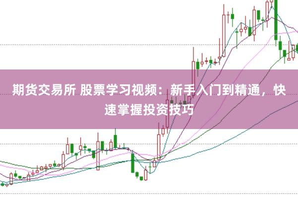 期货交易所 股票学习视频：新手入门到精通，快速掌握投资技巧