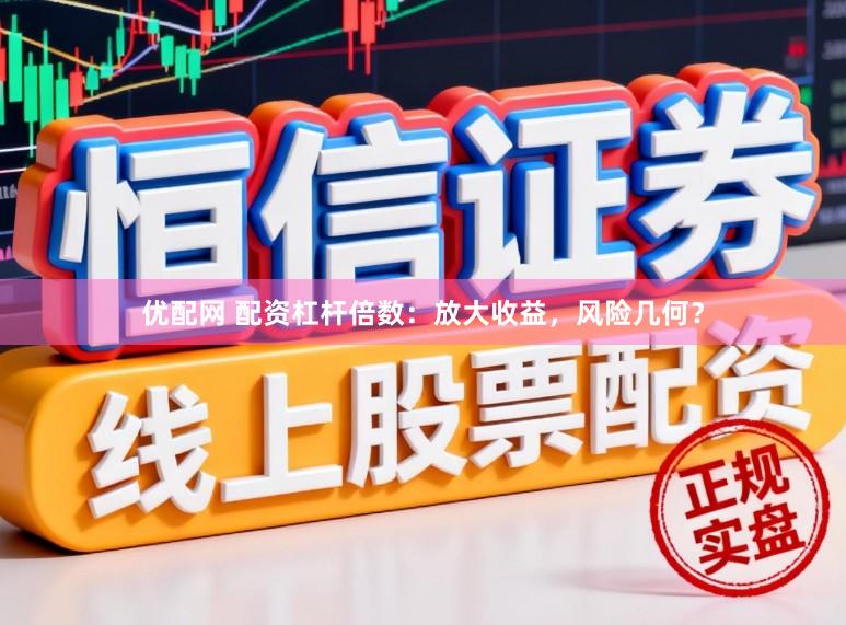 优配网 配资杠杆倍数：放大收益，风险几何？